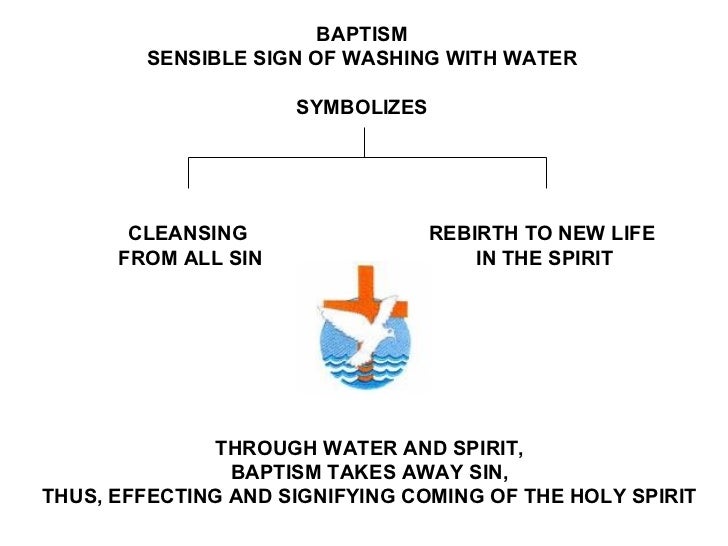 diagram of water baptism wiring diagrams lose Outline of Baptism diagram of baptism wiring diagram baptism table diagram of water baptism